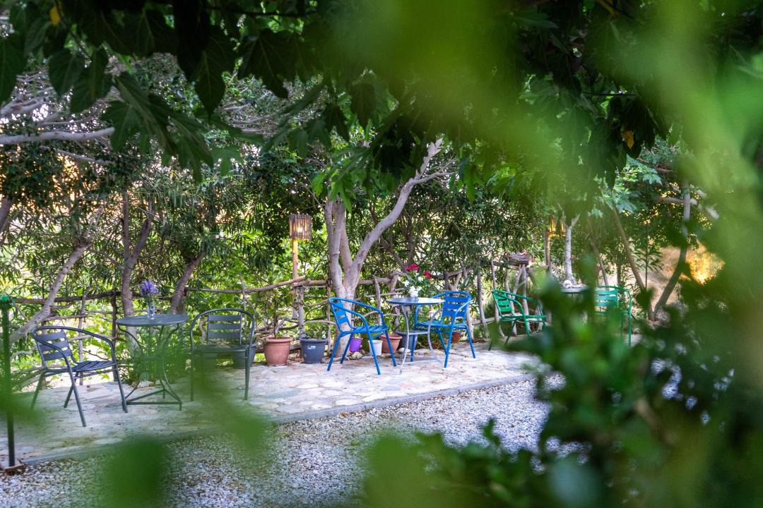 Photo of Others in Karystos