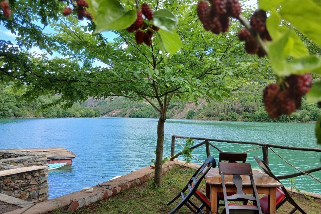 Photo of Others in Sakës