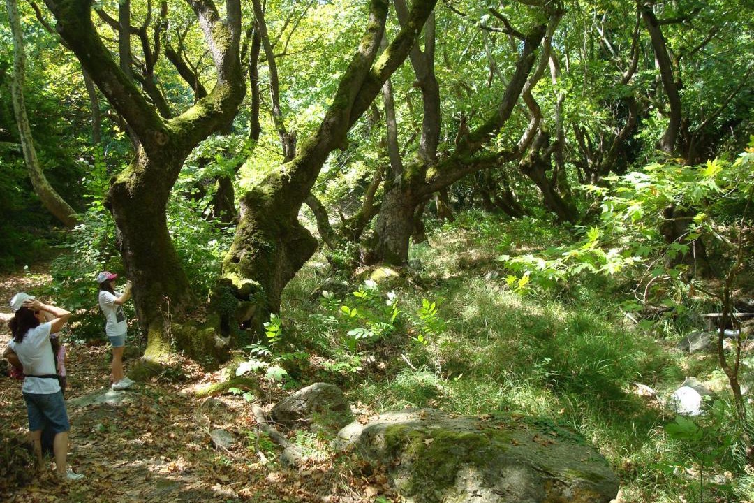 Photo of Others in Agia