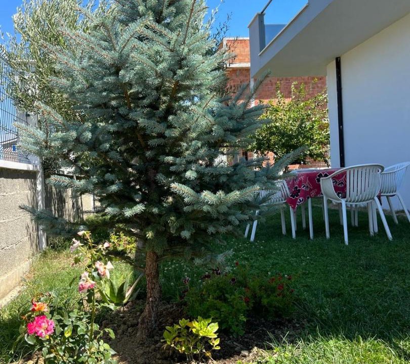 Photo of Outdoor in Qerek
