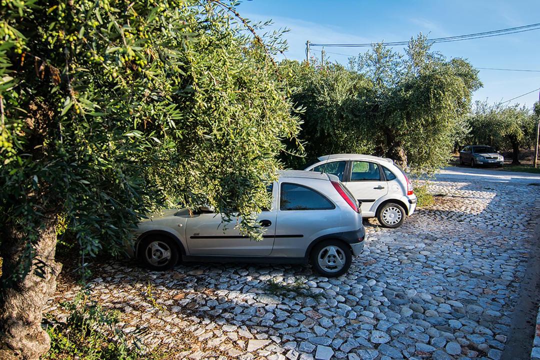 Photo of Others in Lefktron