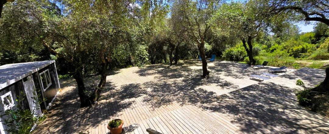 Photo of Others in Agios Stefanos Avliotes