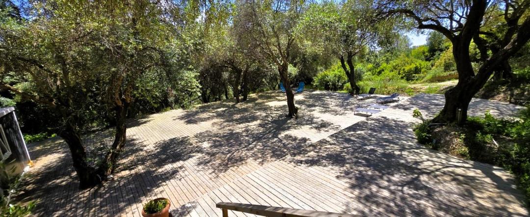Photo of Others in Agios Stefanos Avliotes