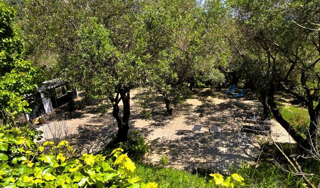 Photo of Others in Agios Stefanos Avliotes