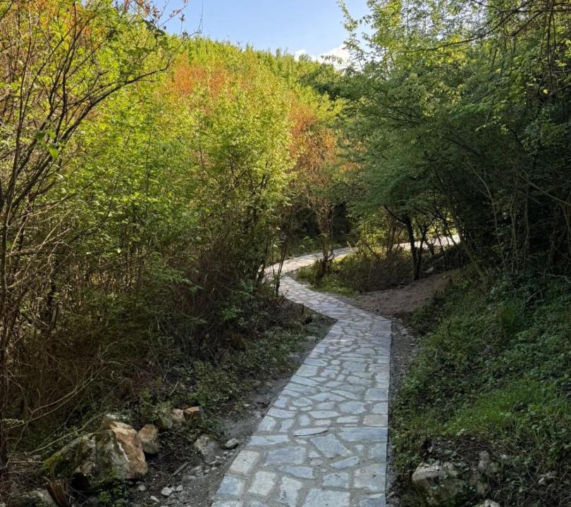Photo of Others in Sakës