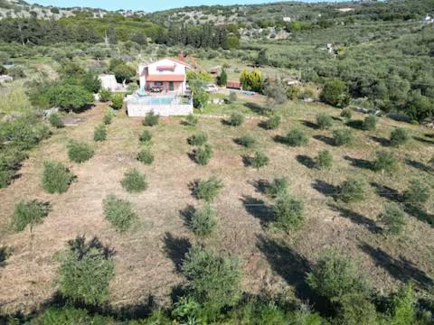 Photo of Others in Apokoronas