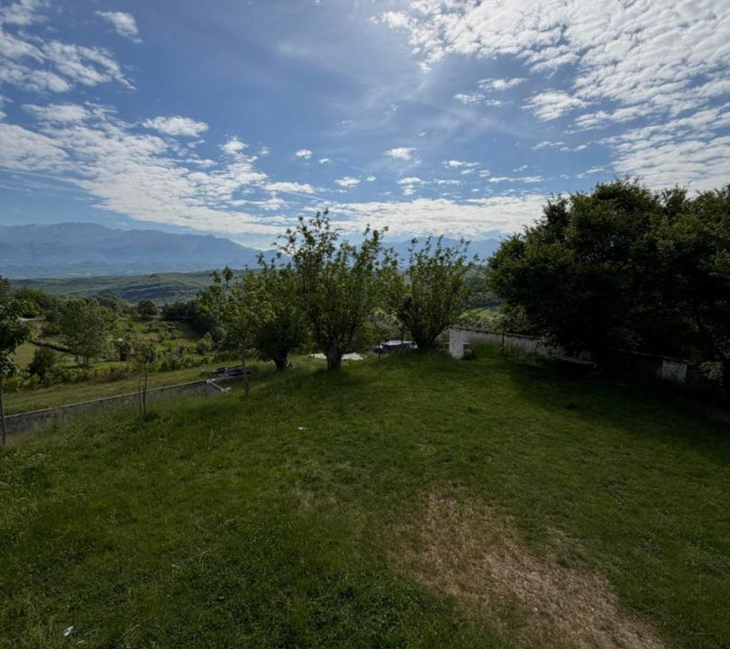 Photo of Others in Sakës