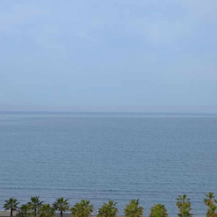 Photo of Others in Shengjin