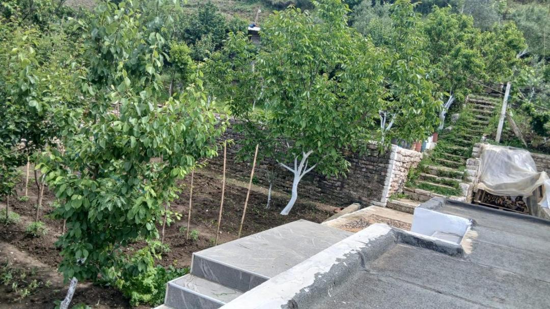 Photo of Others in Gjirokaster