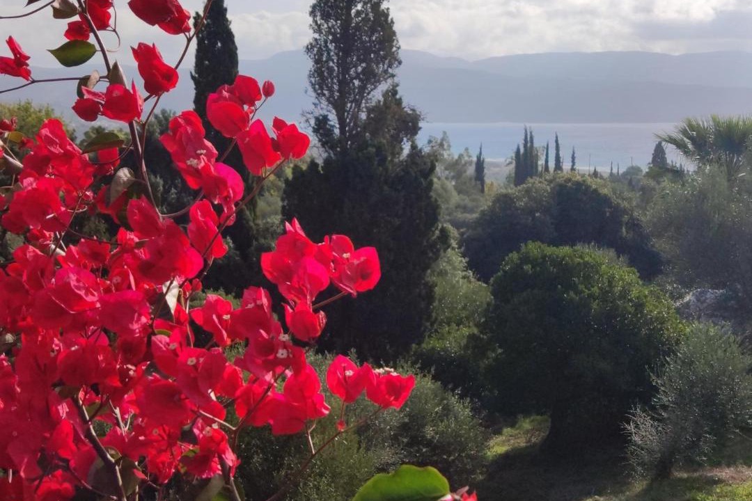 Photo of Others in Pylos-Nestoras