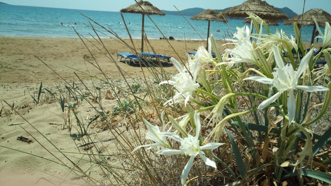 Photo of Others in Pylos-Nestoras