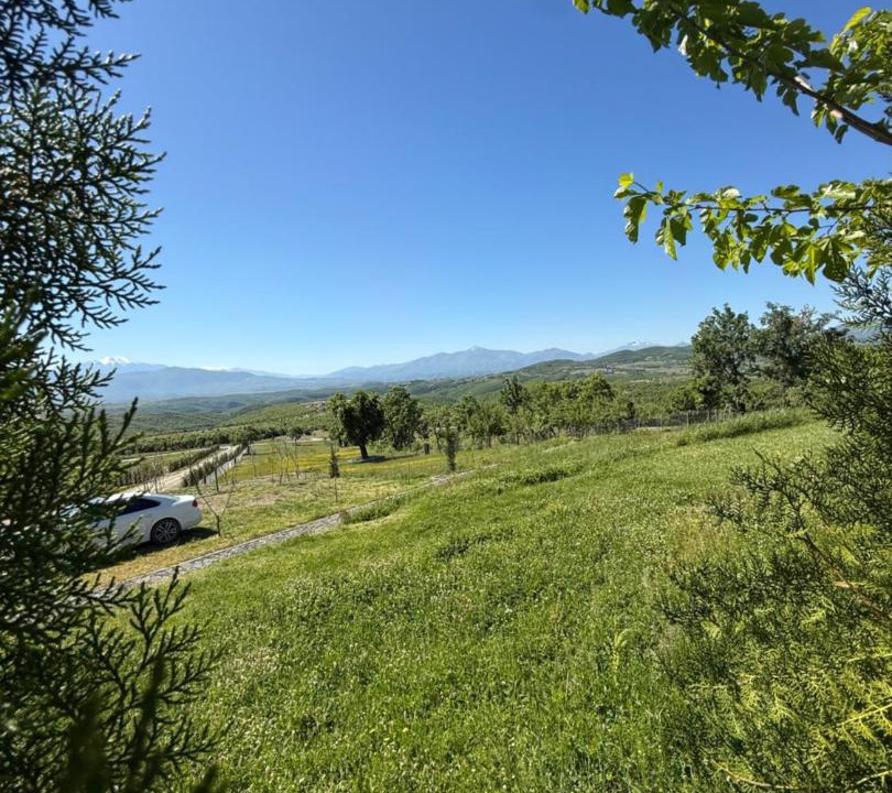Photo of Others in Kukes County