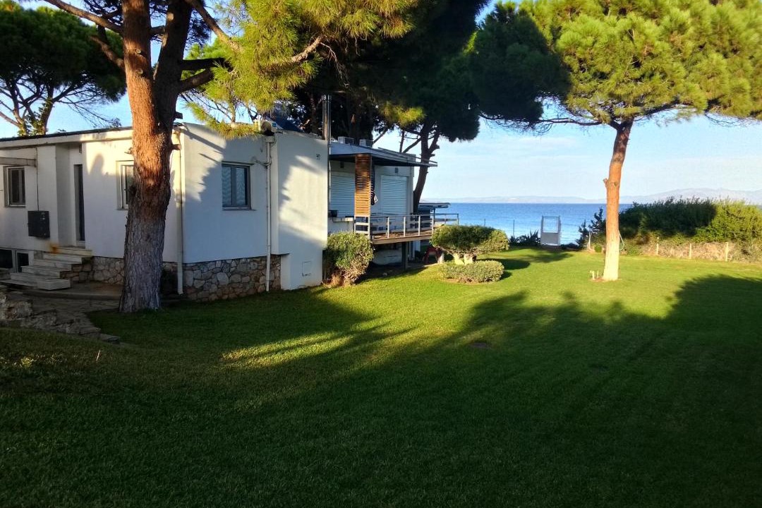 Photo of Others in Nea Makri