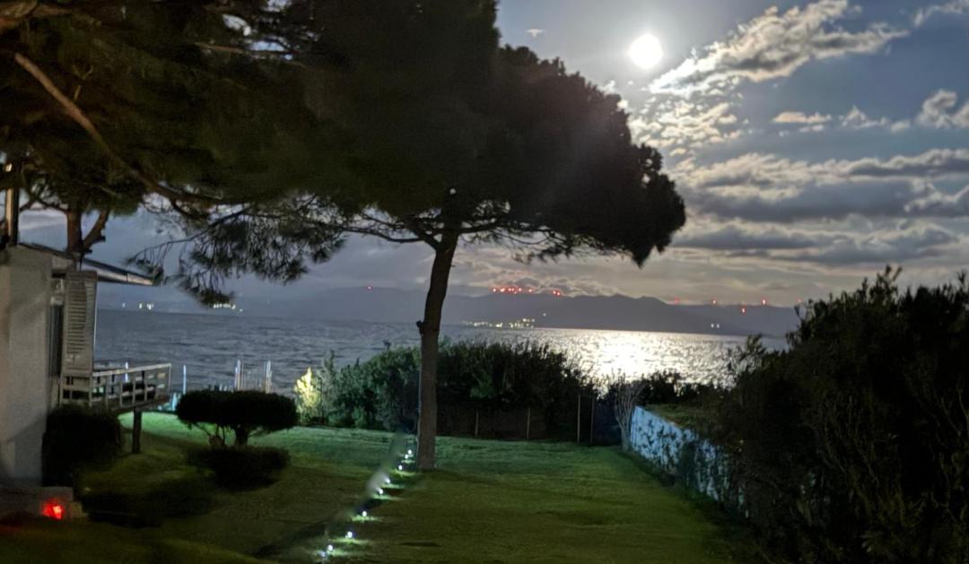 Photo of Others in Nea Makri
