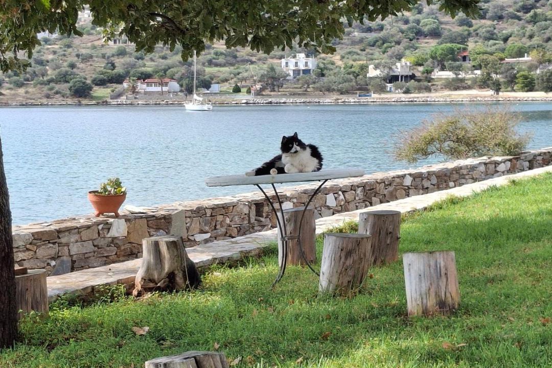 Photo of Others in Kymi-Aliveri