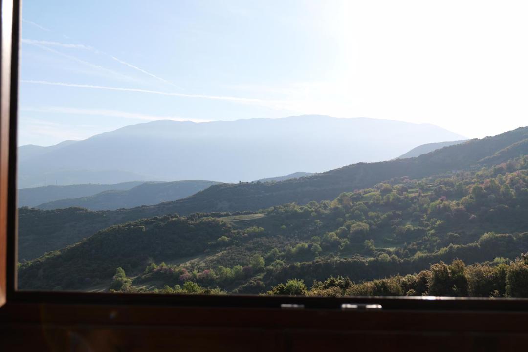 Photo of Others in Jala