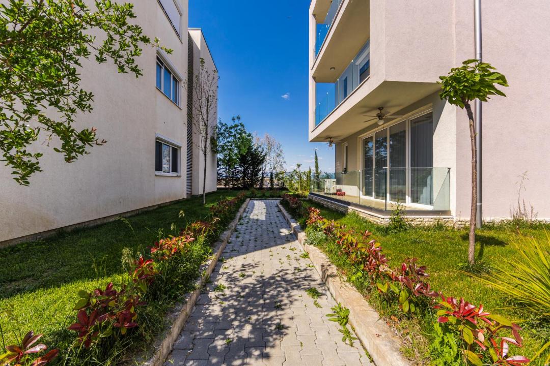 Photo of Others in Sakës