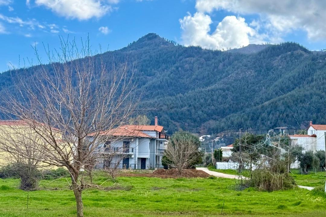 Photo of Others in Skala Potamias