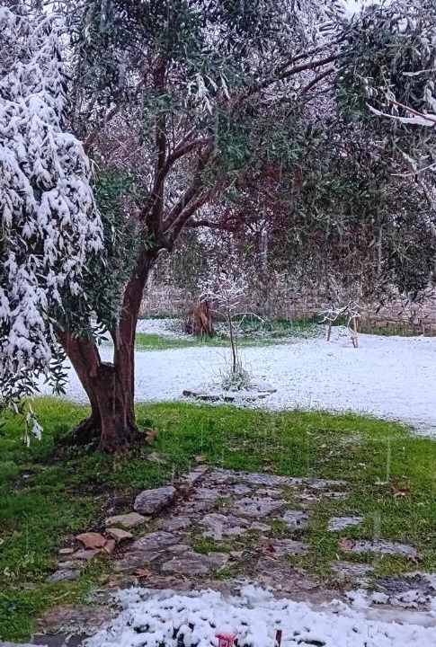 Photo of Others in Trikala
