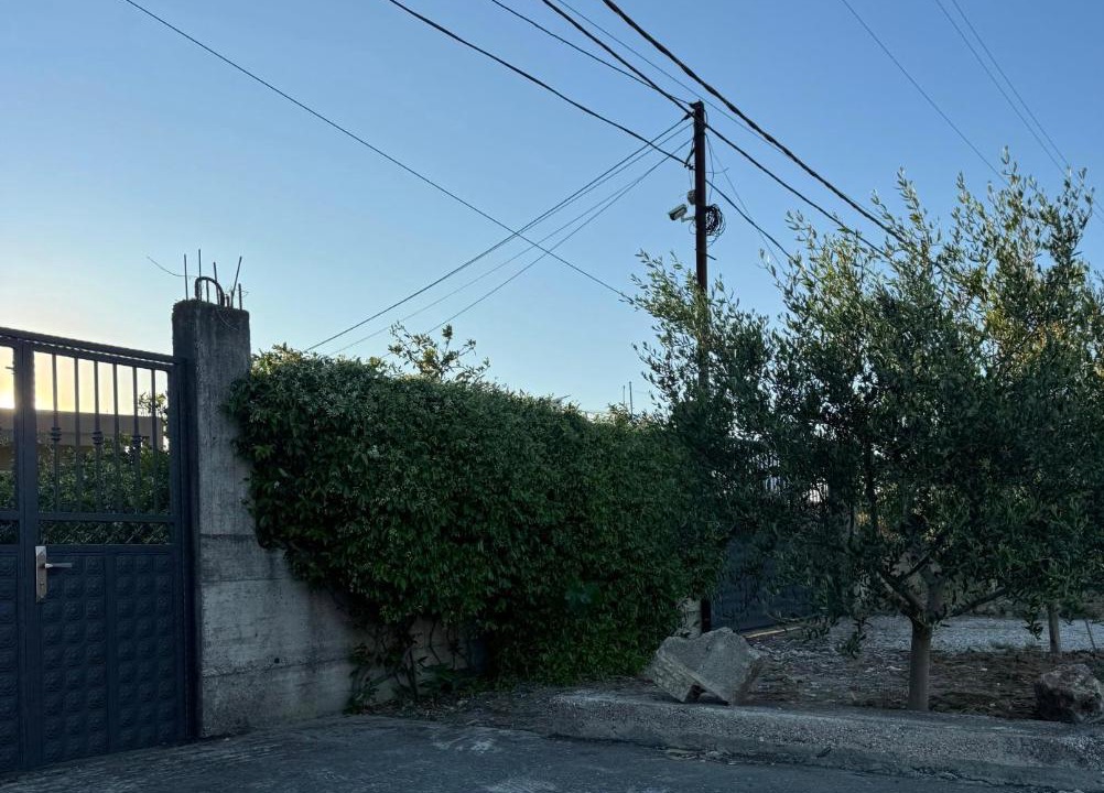 Photo of Others in Qerek