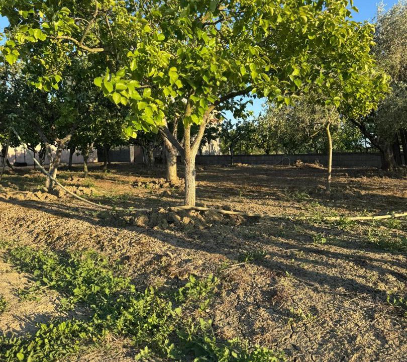 Photo of Others in Qerek