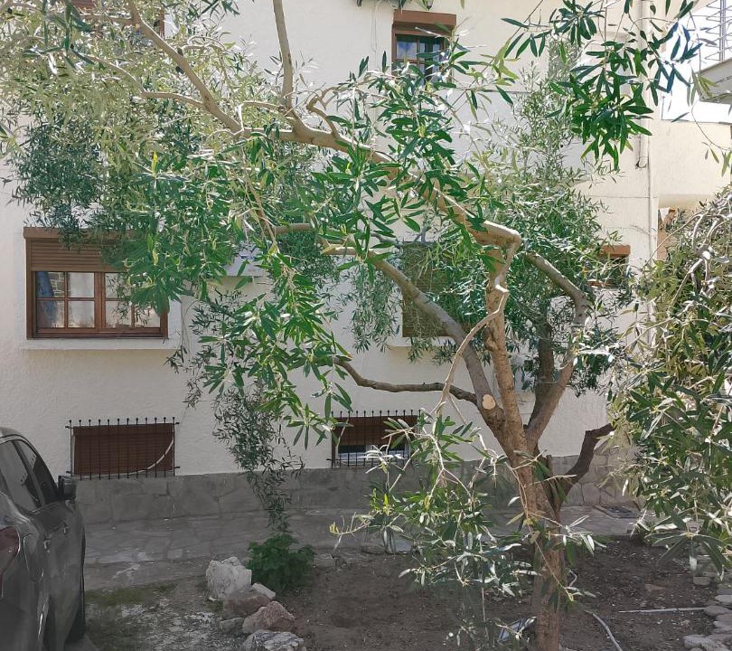 Photo of Others in Skala Marion