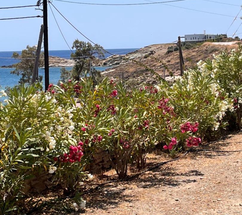 Photo of Others in Koundouros