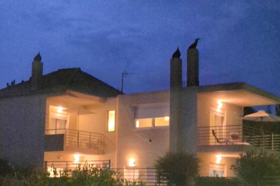 Photo of Others in Gialtra
