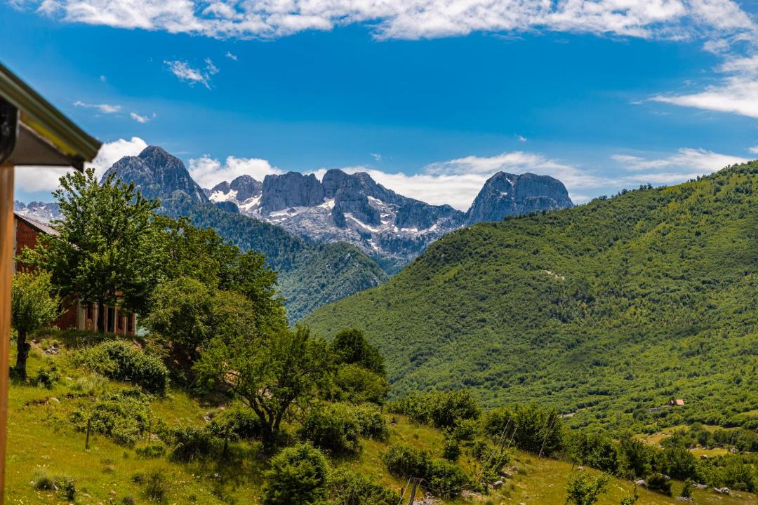 Photo of Others in Shkoder County