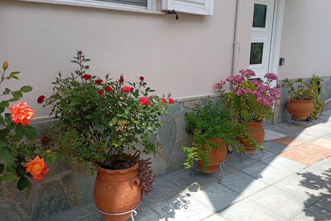Photo of Others in Trikala