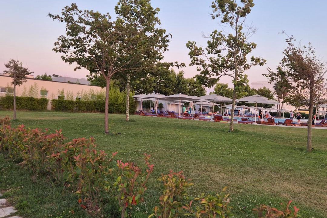 Photo of Others in Sakës