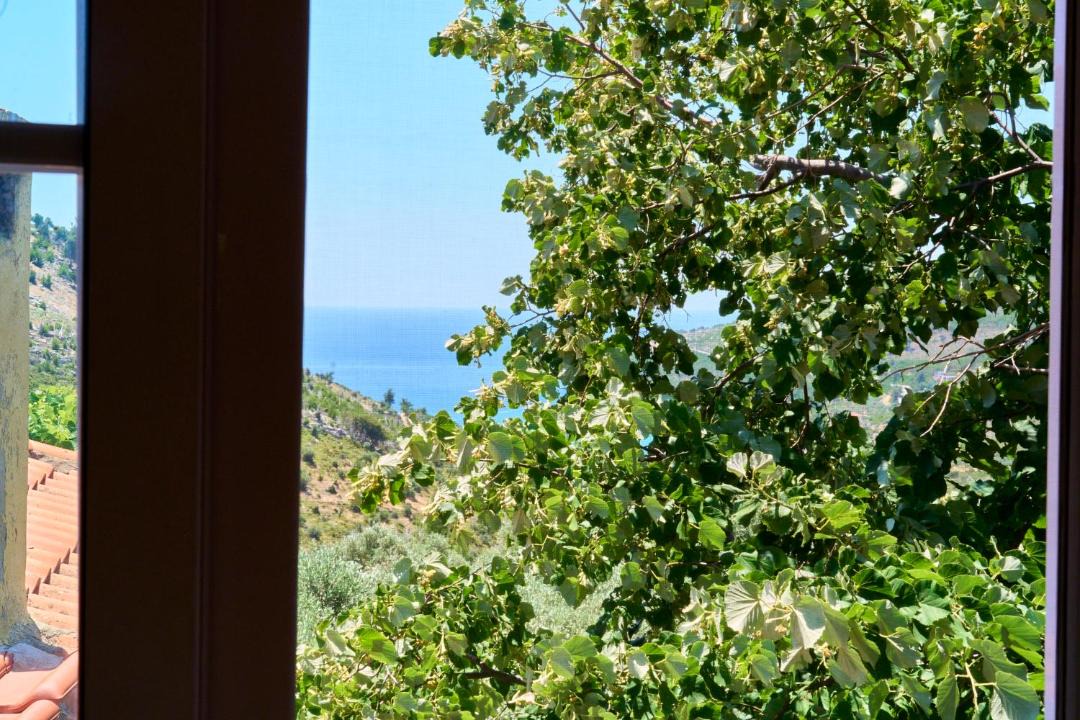 Photo of Others in Thasos