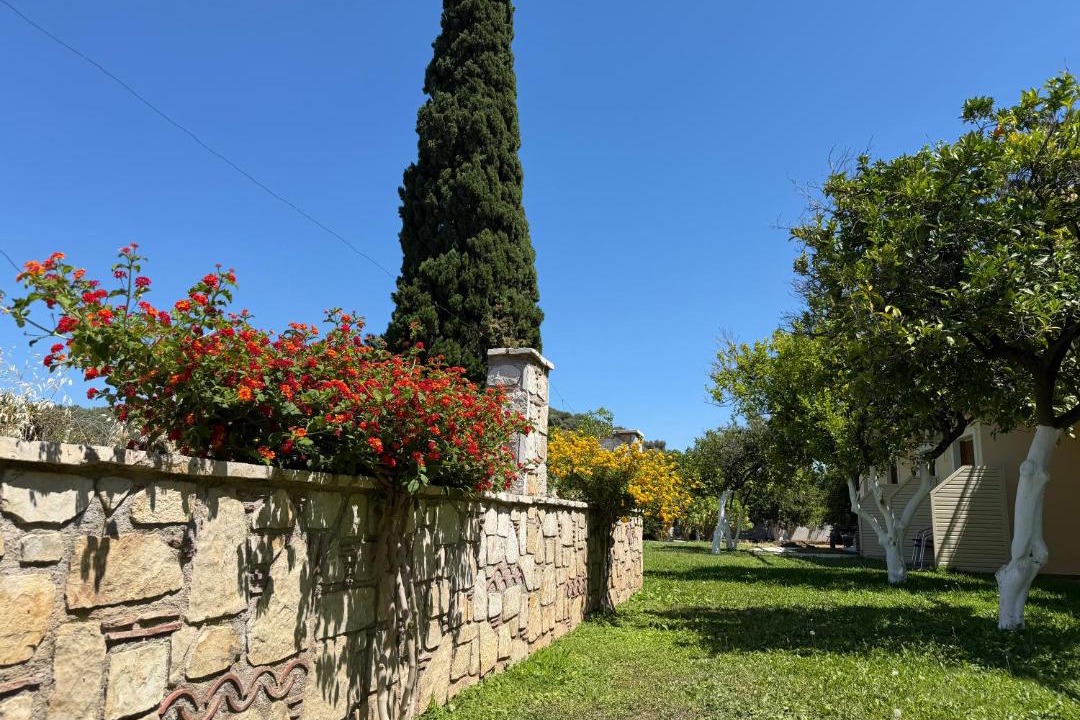 Photo of Others in Palaia Epidavros