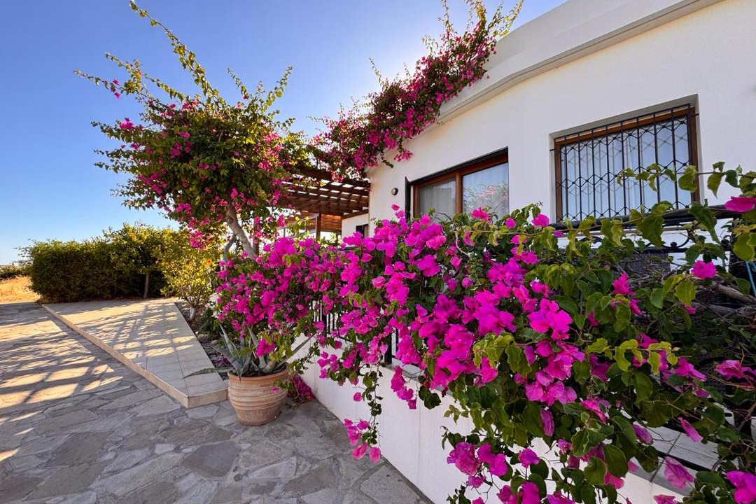 Photo of Patio Balcony in Makry Gialos