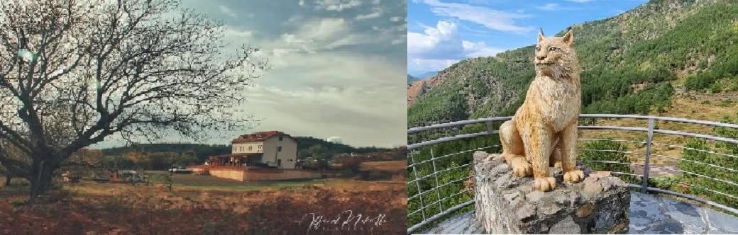 Photo of Others in Sakës