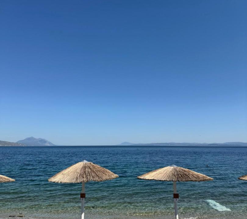 Photo of Others in Ilia