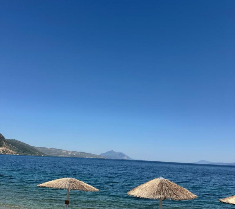 Photo of Others in Ilia