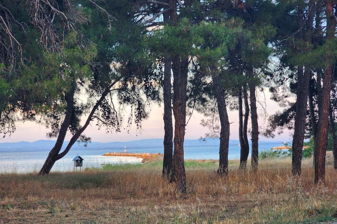 Photo of Others in Pydna