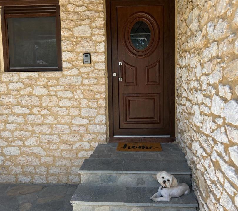 Photo of Others in Thasos