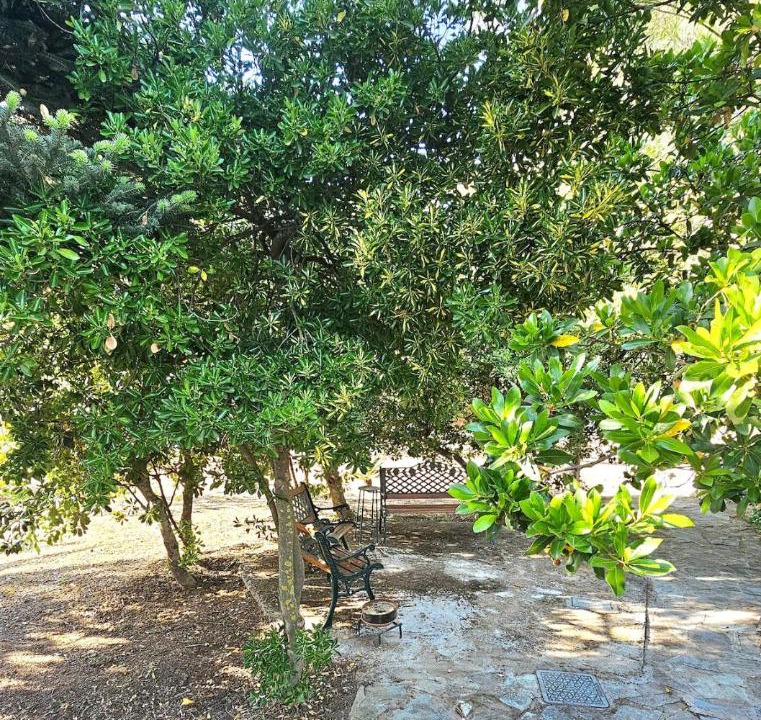 Photo of Others in Kymi-Aliveri