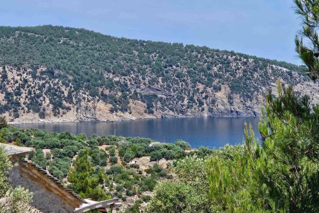 Photo of Others in Aliki