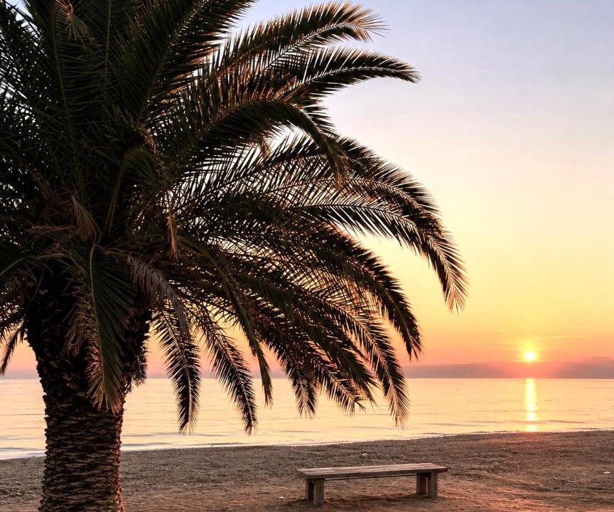 Photo of Others in Paralia Dionysiou