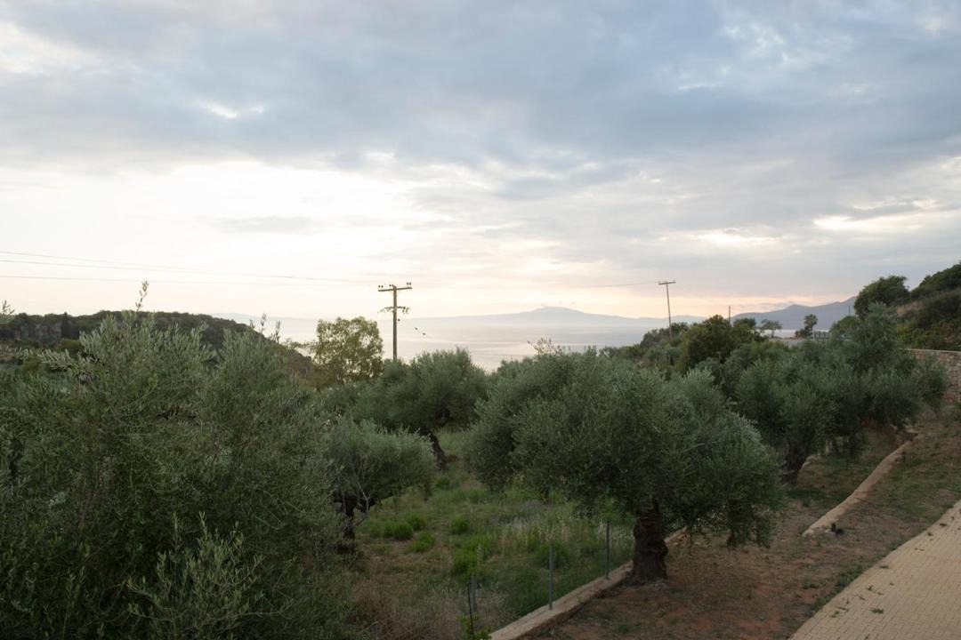 Photo of Others in Lefktron