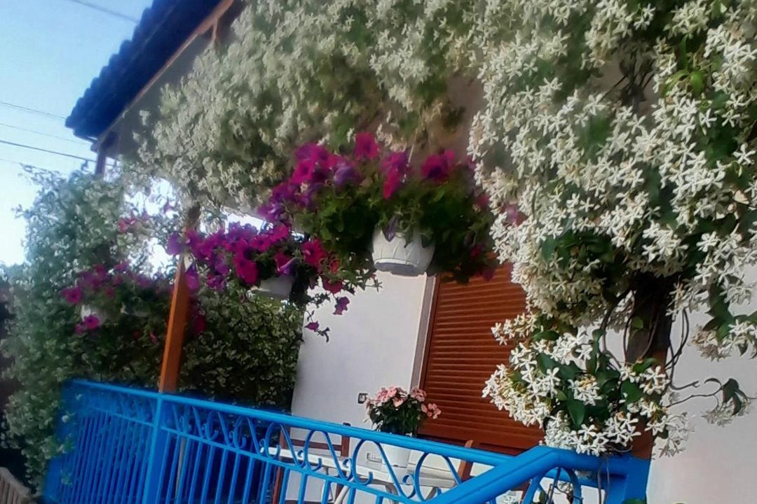 Photo of Others in Berat