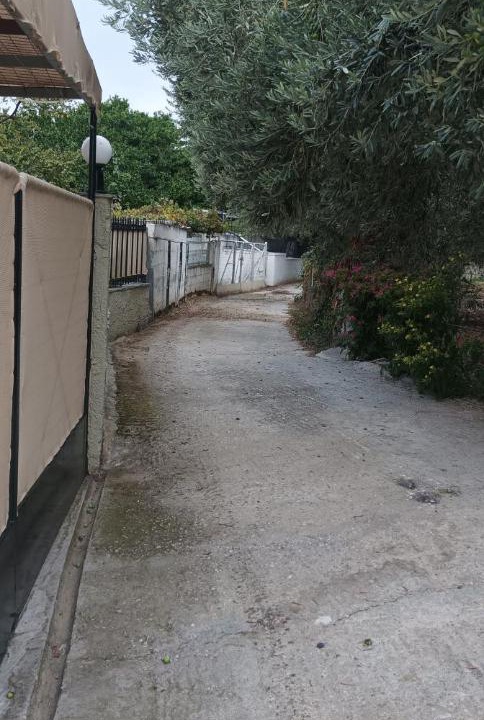 Photo of Others in Volos