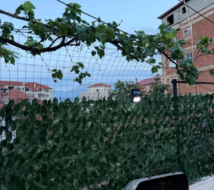 Photo of Others in Pogradec