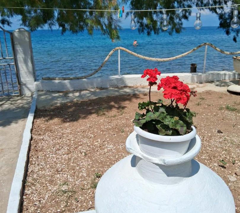Photo of Others in Skala Kallirachis