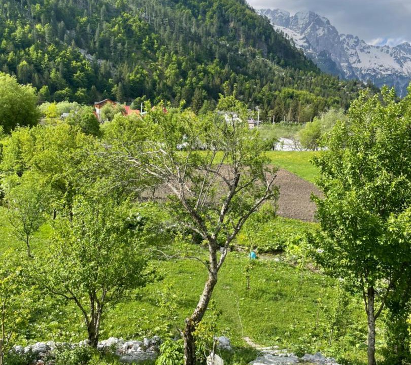 Photo of Others in Valbone