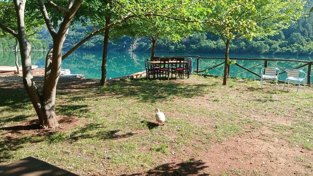 Photo of Others in Sakës