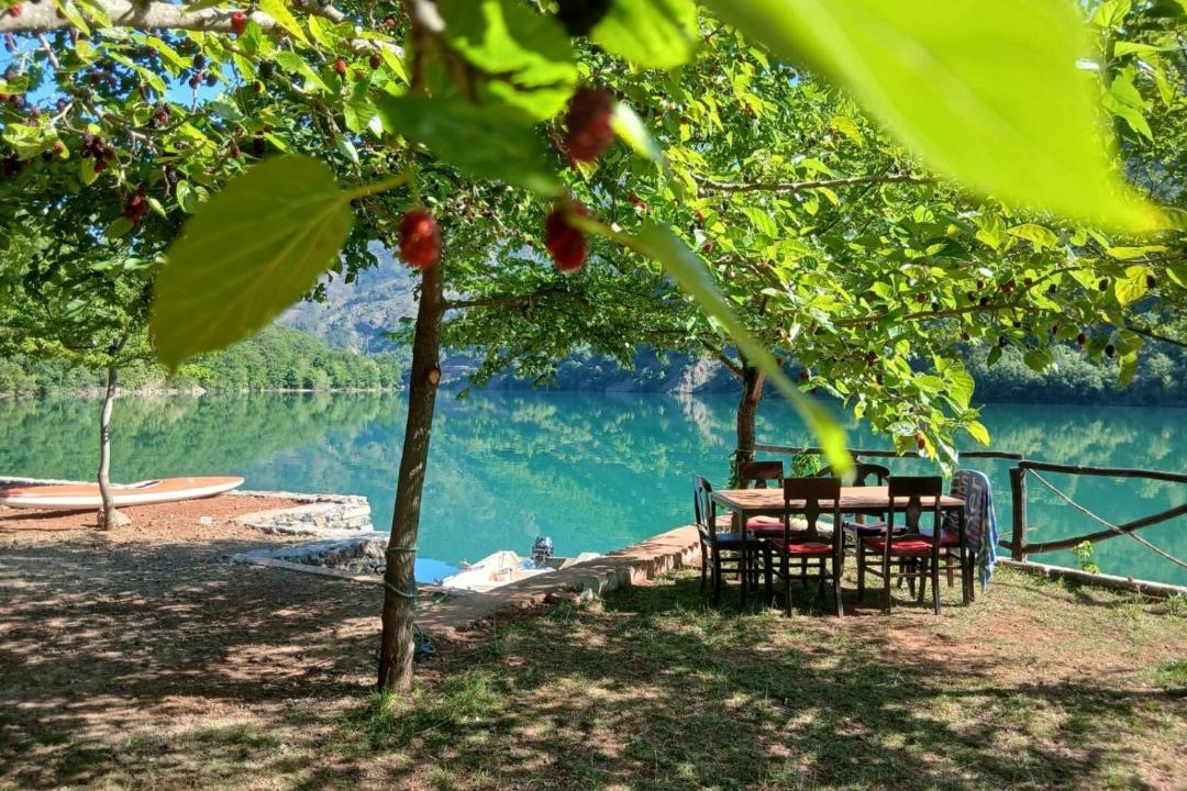 Photo of Others in Sakës